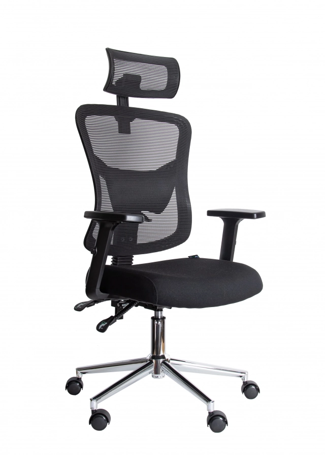 Ergonomska kancelarijska stolica UGD Balance