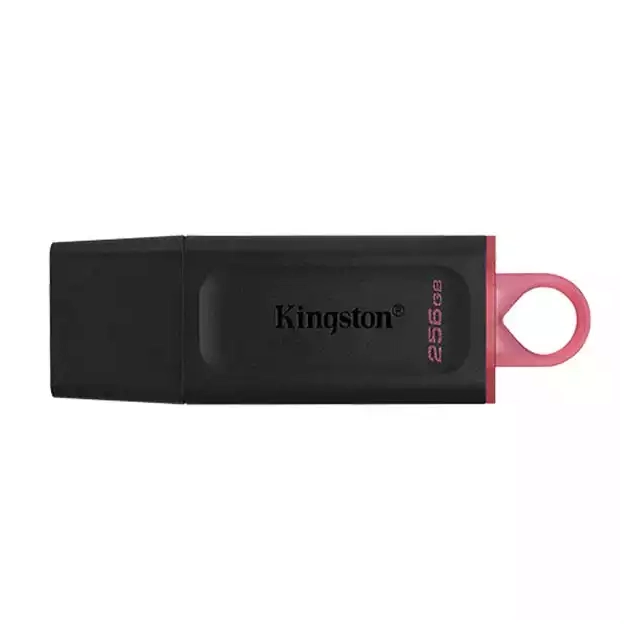 FlashDrive 256GB Kingston DTX/256GB USB3.2