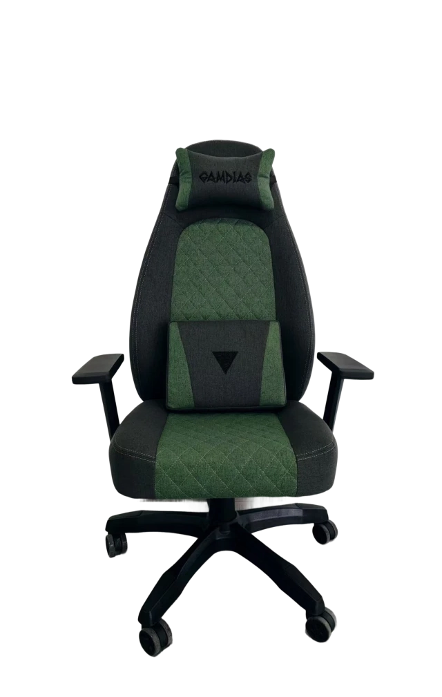Gaming stolica Gamdias Zelus E4 Weave sivo/zelena