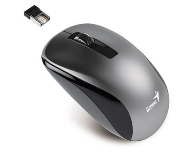 GENIUS NX-7010 Wireless Optical USB sivi miš 