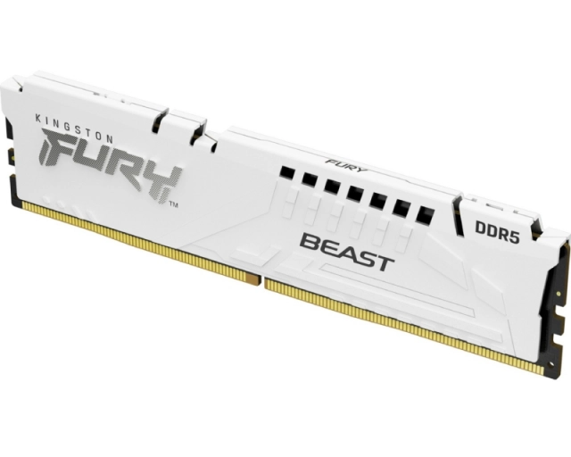 KINGSTON DIMM DDR5 16GB 5600MT/s KF556C36BWE-16 Fury Beast White Expo 