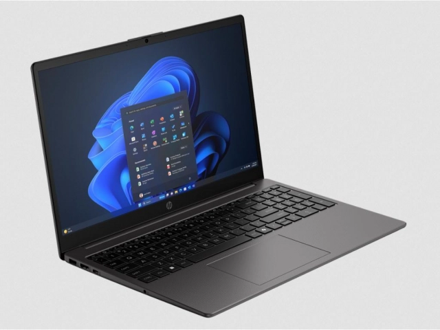 Laptop HP 250 G10 DOS/15.6"FHD AG/Core 3-100U/8GB/512GB