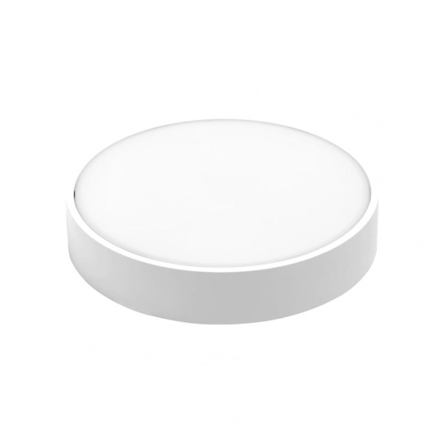 LED spoljna svetiljka 24W CL300-CP07-CW