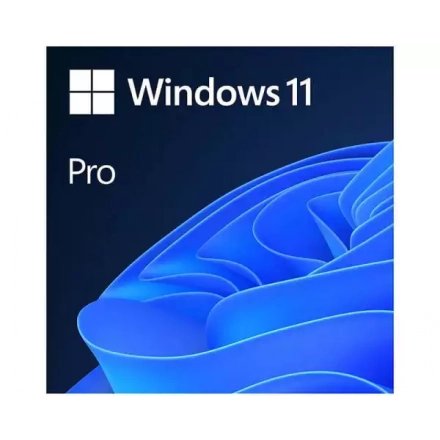 Microsoft Windows 11 Pro FPP 64-bit Eng Intl non-EU/EFTA USB HAV-00164