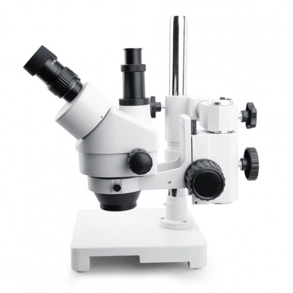 main_image