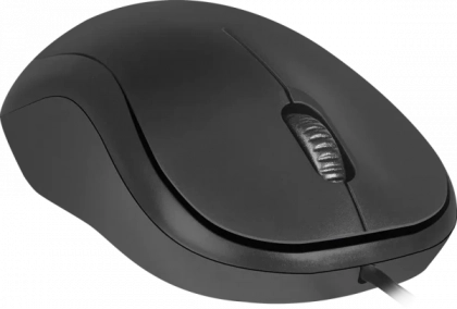 main_image