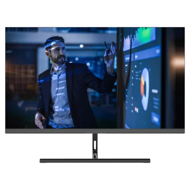 Monitor W2471SG Original A Grade IPS , 23.8 FHD 1920x1080 , 100Hz