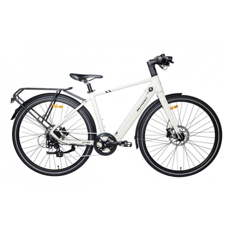 MS ENERGY eBike c40