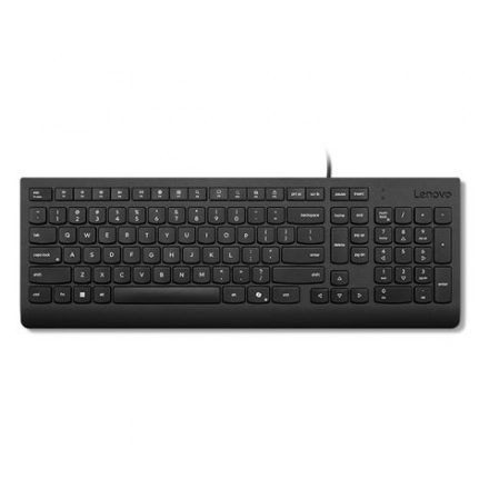 Lenovo NOT DOD LN Tastatura žičana Essential YU, 4Y41R64673