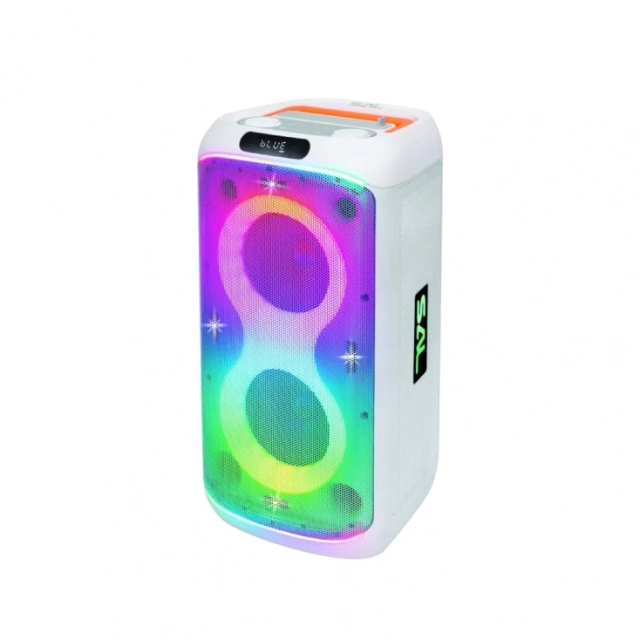 Prenosna zvučna kutija sa Bluetooth konekcijom 60W PAR216WH