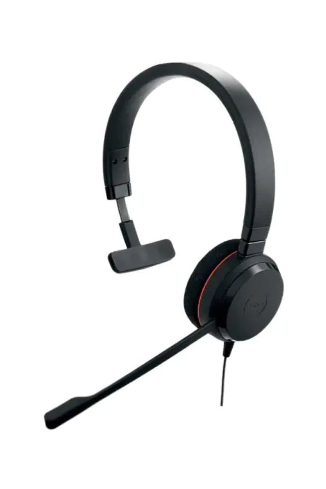 Slušalice sa mikrofonom Jabra Evolve 20 Mono USB
