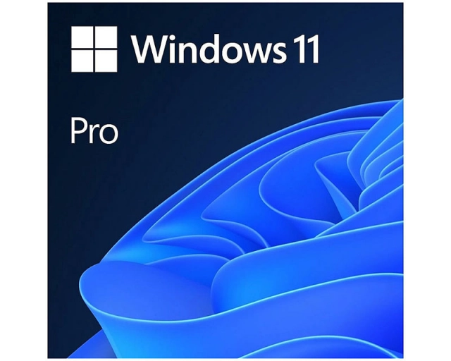 Software Windows 11 Pro Retail 64-bit Eng Intl USB  1PC HAV-00164