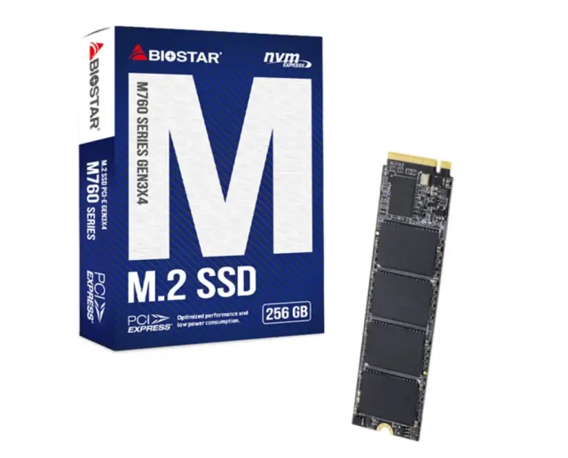 SSD M.2 NVME 256GB Biostar 3200MBs/1300MBs M760