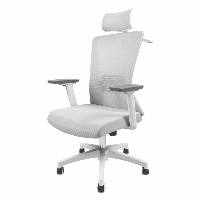 Stolica Office Fantech OC-A258SV2 bela