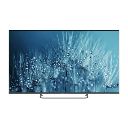 TV PROFILO 55PA545EQG  /QLED/55"/4K UHD/Smart/Google TV/siva