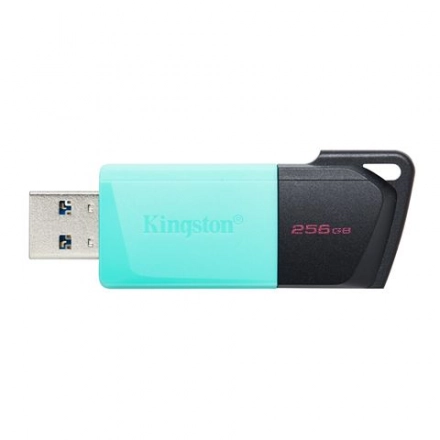 USB FD.256GB KINGSTON DTXM/256GB