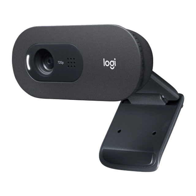 Web kamera Logitech C505e