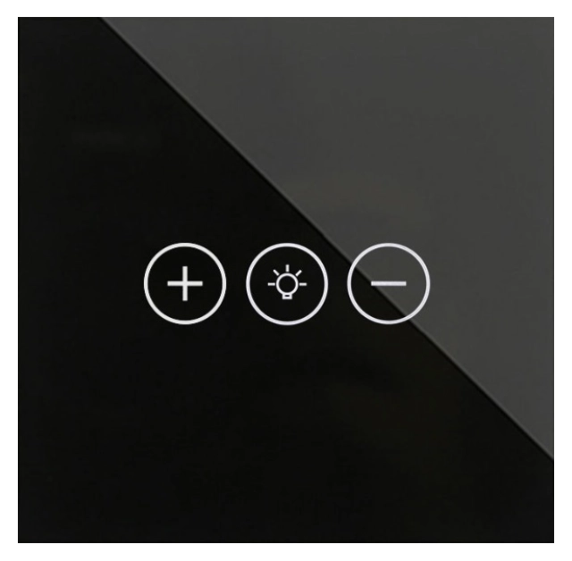 Exeshop Wi-Fi TOUCH DIMMER Crni (TUYA)